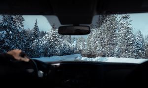 Image post by @d.schiffel on Instagram