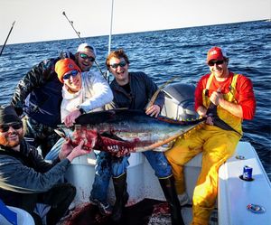 Image post by @freemanboatworks on Instagram