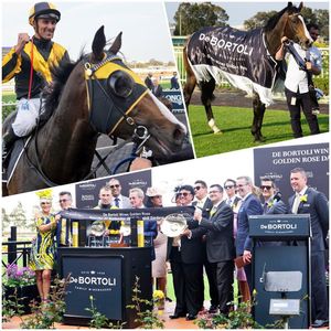 Image post by @australianturfclub on Instagram