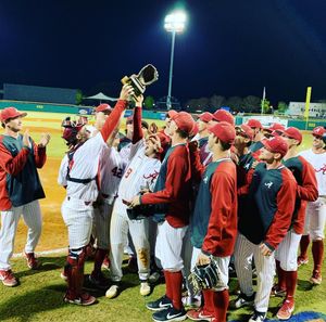 Image post by @biscuitbaseball on Instagram