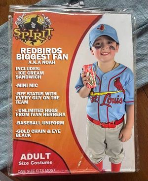 Image post by @memphisredbirds on Instagram