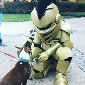 Image post by @rosencollege on Instagram
