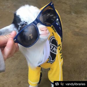 Image post by @vanderbiltu on Instagram