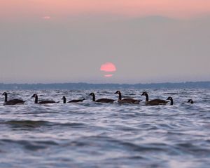 Image post by @joshkingphotography on Instagram