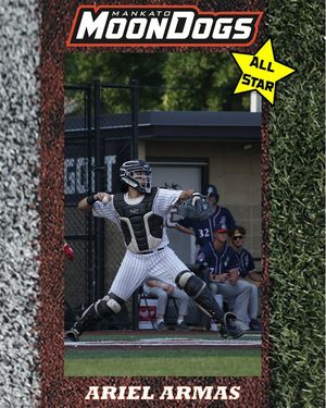 Image post by @mankatomoondogs on Instagram