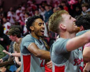 Image post by @isuredbirds on Instagram