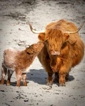 Image post by @visitscotland on Instagram