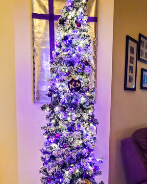 Image post by @highpointu on Instagram