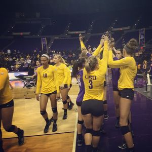Image post by @lsuvolleyball on Instagram