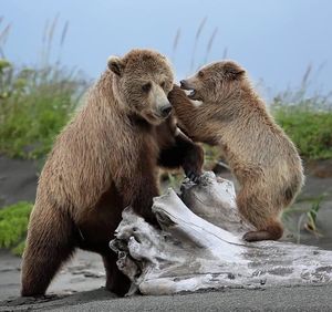 Image post by @nationalparkservice on Instagram