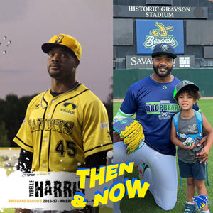 Image post by @brisbanebandits on Instagram