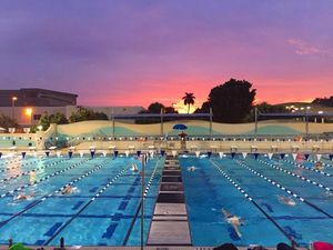 Image post by @nsu_swim on Instagram