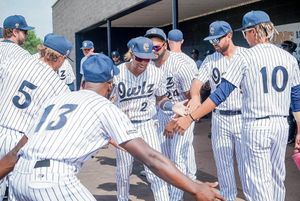 Image post by @nocoowlz on Instagram