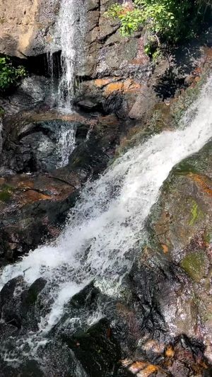 Video post by @jaksvanlife on Facebook