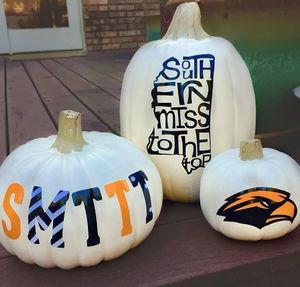 Image post by @officialsouthernmiss on Instagram