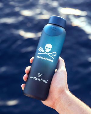 Image post by @waterdrop on Instagram