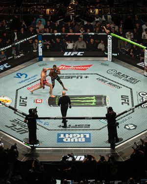 Image post by @ufc on Instagram
