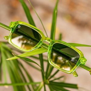 Image post by @knockaround on Instagram