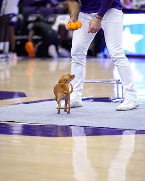 Image post by @gcu_lopes on Instagram