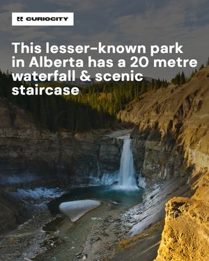 Image post by @curiocitycalgary on Instagram