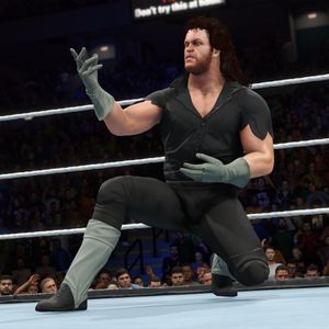 Image post by @wwegames on Instagram