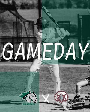 Image post by @stevensonbsb on Instagram
