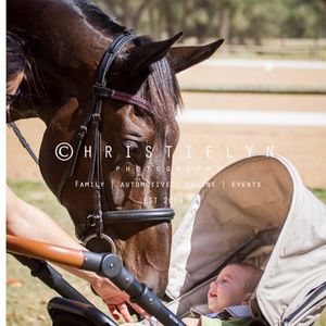 Image post by @first_bit_equine_ on Instagram