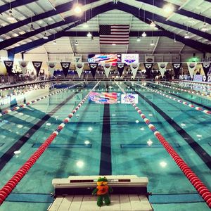 Image post by @arenausa on Instagram
