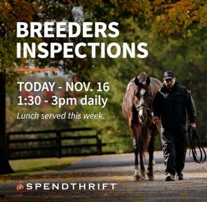 Image post by @theTDN on Twitter