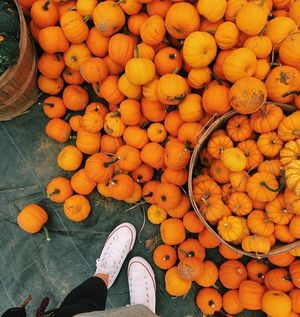 Image post by @hellomeridian on Instagram