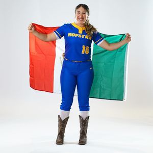 Image post by @hofstrasoftball on Instagram