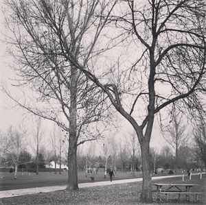 Image post by @fargoparks on Instagram