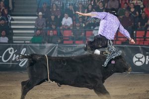 Image post by @bullfightersonly on Instagram