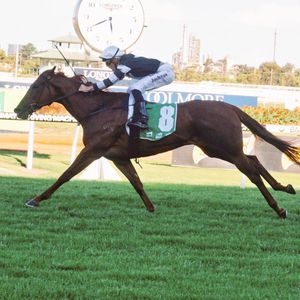 Image post by @australianturfclub on Instagram