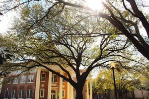 Image post by @officialsouthernmiss on Instagram