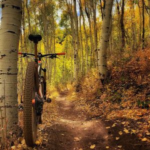 Image post by @kedgebike on Instagram
