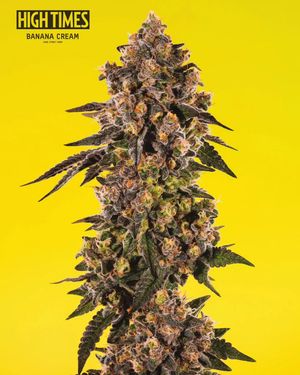 Image post by @hightimesmagazine on Instagram