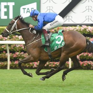 Image post by @australianturfclub on Instagram