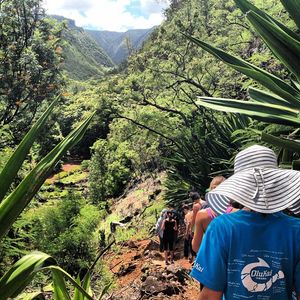 Image post by @olukai on Instagram