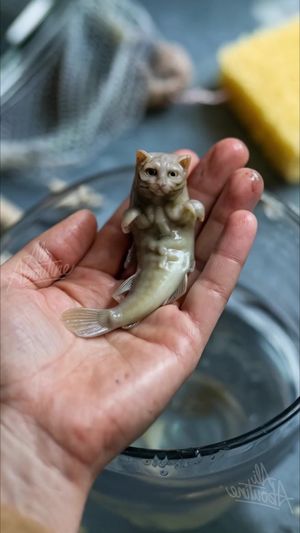 Video post by @ali.aboutine on TikTok