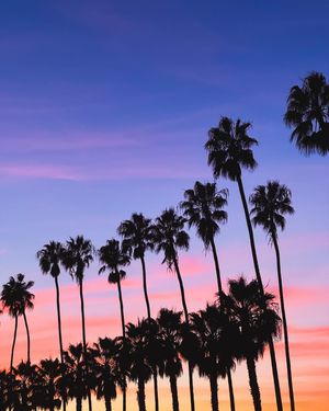 Image post by @adamcosgrove on Instagram