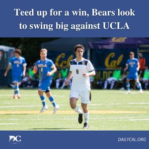 Image post by @dailycalsports on Instagram