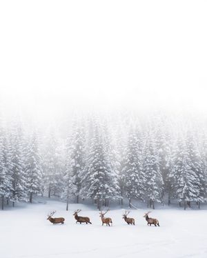 Image post by @discovery on Instagram