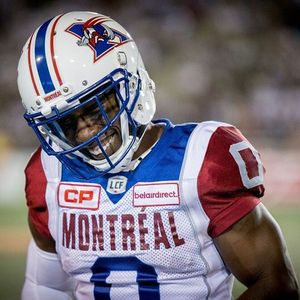 Image post by @mtlalouettes on Instagram
