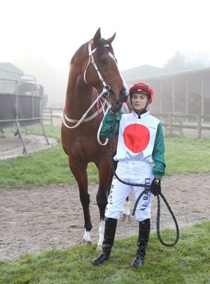 Image post by @NZHorseAmbulanceTrust on Facebook
