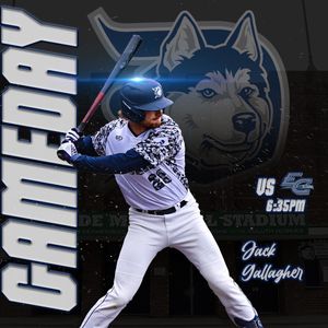 Image post by @duluthhuskies on Instagram