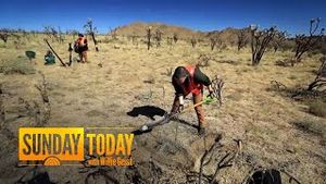 Video post by @today on YouTube