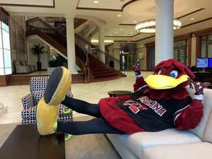 Image post by @uofscalumni on Instagram