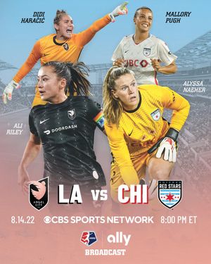 Image post by @nwsl on Twitter