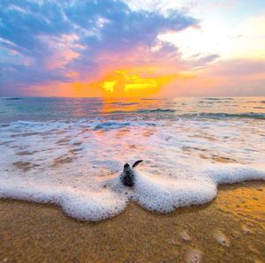 Image post by @discovery on Instagram
